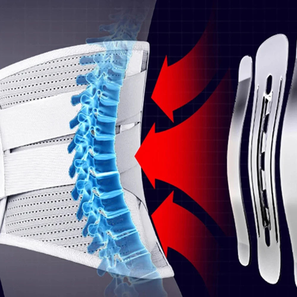 5 Support Back Brace for Lower Back Pain Relief Lumbar Support Belt with Lumbar Pad Ergonomic Design for Herniated Disc Sciatica