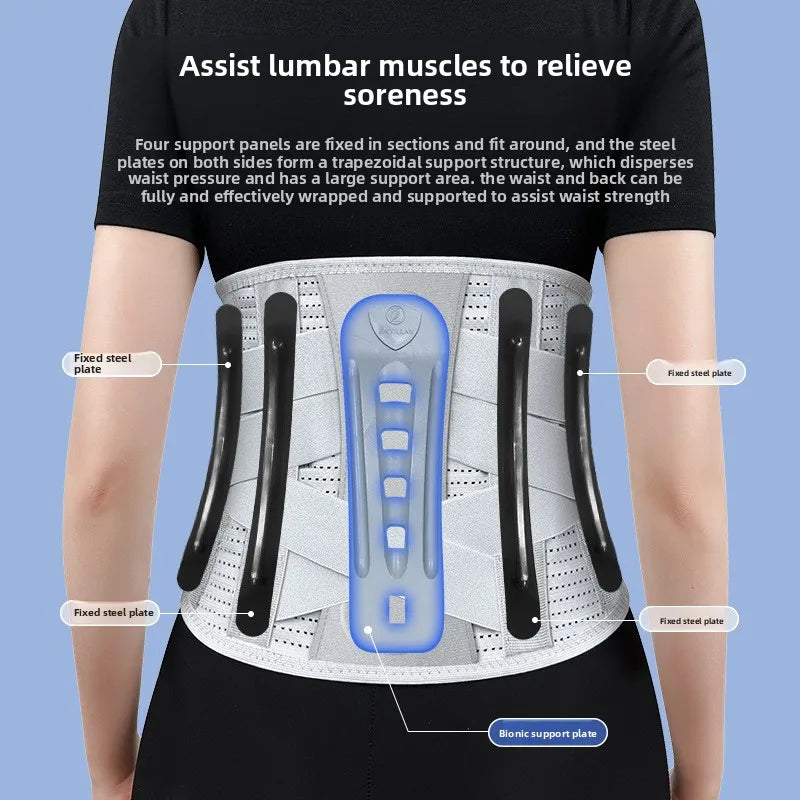 5 Support Back Brace for Lower Back Pain Relief Lumbar Support Belt with Lumbar Pad Ergonomic Design for Herniated Disc Sciatica