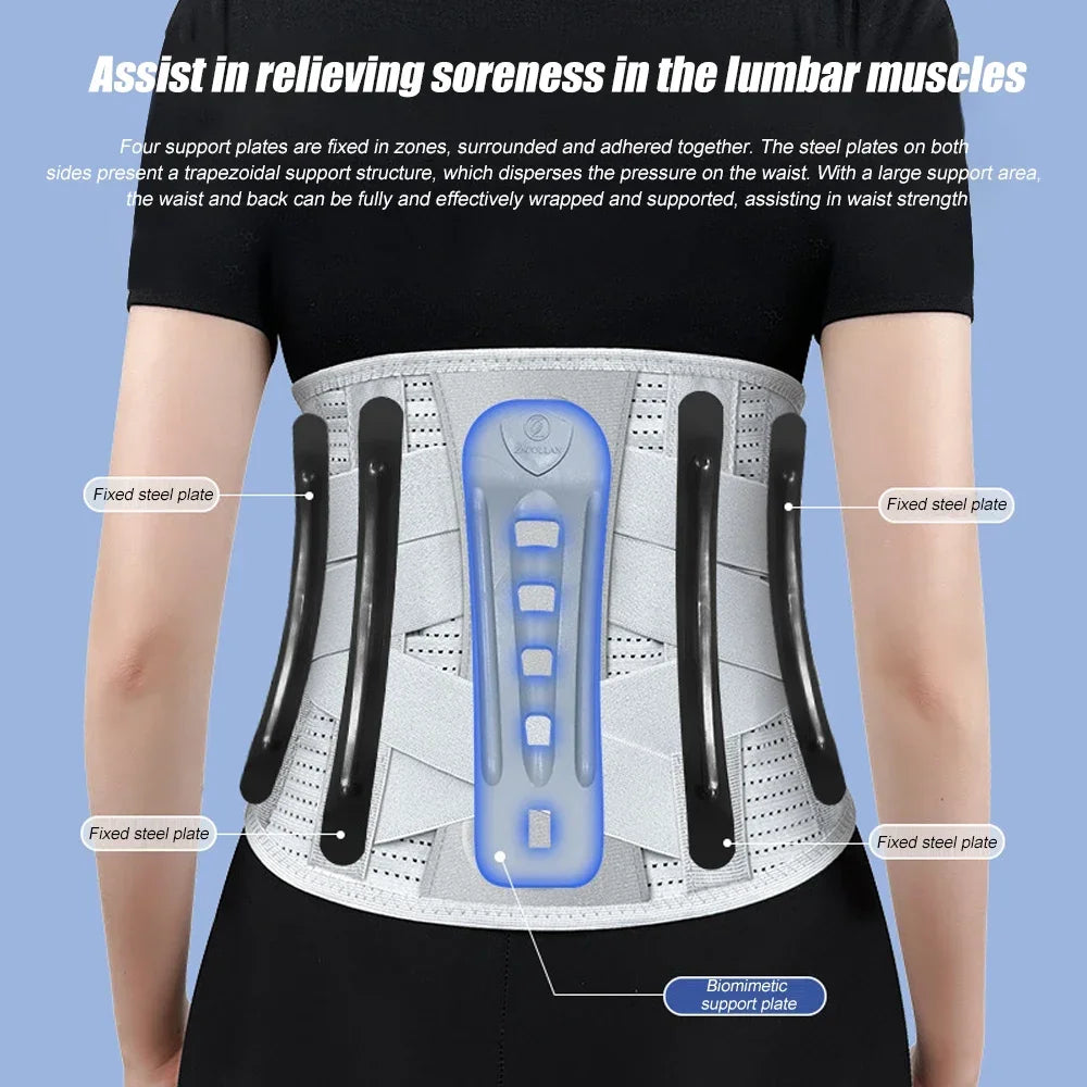 5 Support Back Brace for Lower Back Pain Relief Lumbar Support Belt with Lumbar Pad Ergonomic Design for Herniated Disc Sciatica