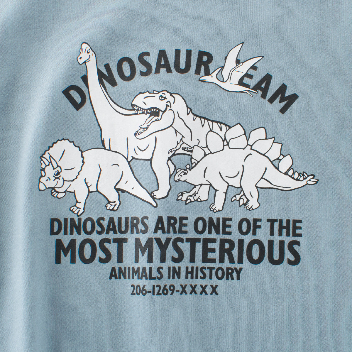 Boys’ Dinosaurs and Letters Print T-shirt in European and American Style